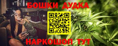 крисы Лесосибирск