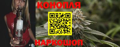крисы Лесосибирск