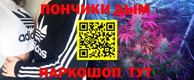 крисы Лесосибирск