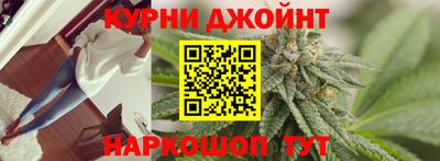 сатива Кунгур