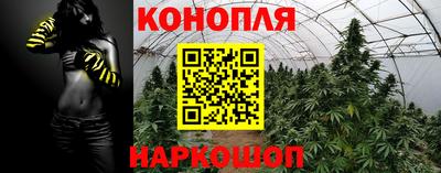 молекула духа Кулебаки